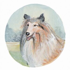 Collie