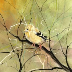 Goldfinch, The Giclée - Artist Proof