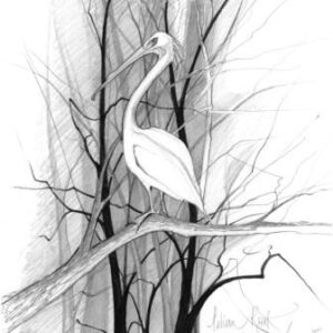 Pelican Roost - Artist Proof