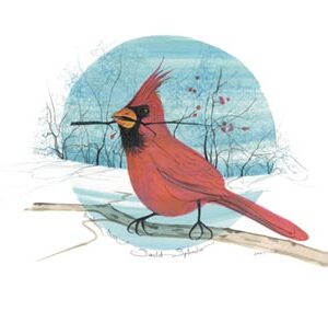 Scarlet Splendor - Artist Proof