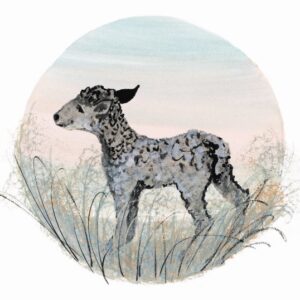 Spring Lamb - Artist Proof