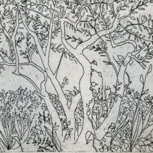 Olive Tree Etching, The