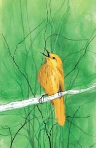 Little Yellow Bird - Artist Proof