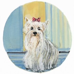 Yorkshire Terrier