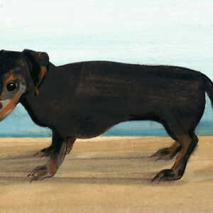 Dachshund Giclée