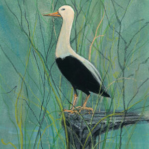 In the Marsh Giclée