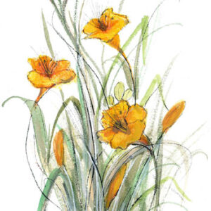 Lily of the Incas Giclée