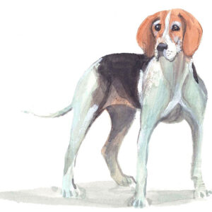 My Hound Giclée