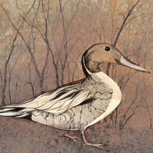 Nesting Giclée - Artist Proof