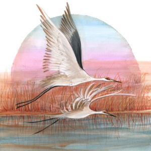 Northern Sojourn - Artist Proof