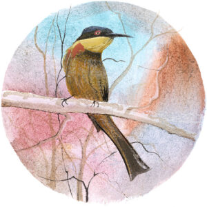 Perching Giclée  - Artist Proof