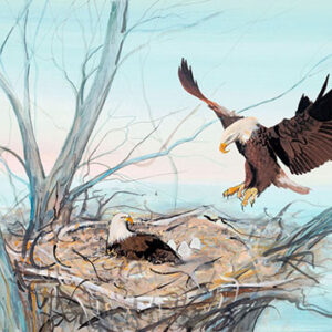 Pip Watch Giclée - Artist Proof