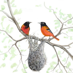 Pride of Maryland Giclée - Artist Proof