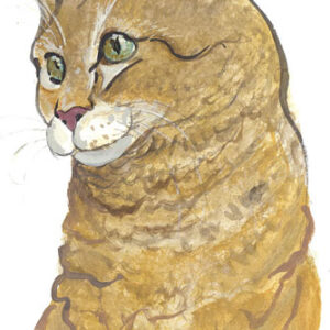 Rascal Giclée - Artist Proof