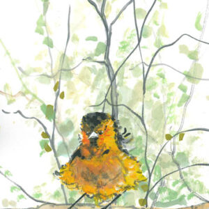 Ruffled Feathers Giclée - Artist Proof