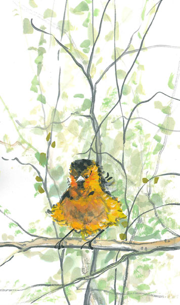 Ruffled Feathers Giclée - Artist Proof