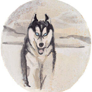 Siberian Husky Giclée