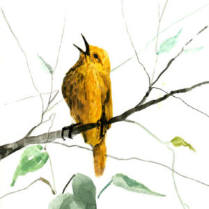 Singing to the Heavens Giclée - Artist Proof