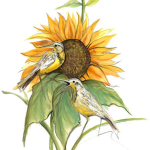 Song of the Sunflower Giclée - Artist Proof