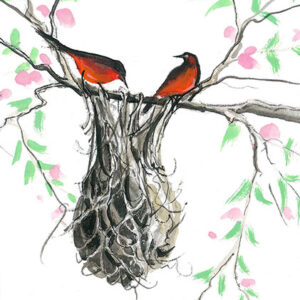 Spring Nest Giclée - Artist Proof