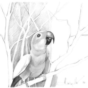 Tropical Friend - Artist Proof