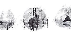 Untitled ***Sold Out***