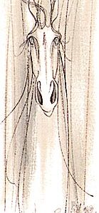 Vision of Equus ***Sold Out***