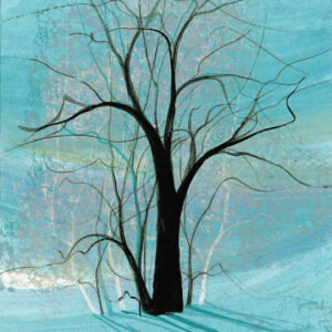 Winter Shadows Giclée